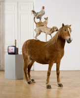 Katarzyna Kozyra, „Piramida zwierząt”, 1993 Katarzyna Kozyra, „Piramida zwierząt”, 1993