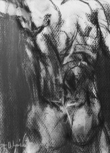 Damned - węgiel na papierze 52 x 72 cm, 2016